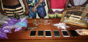 POLÍCIA SURPREENDE AUTORES DE TRÁFICO DE DROGAS E DE POSSE ILEGAL ARMA DE FOGO