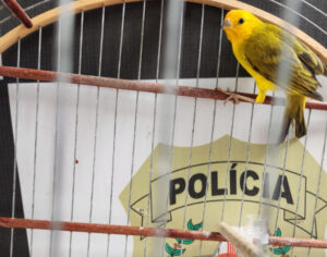 Fala Sodré - Polícia Civil