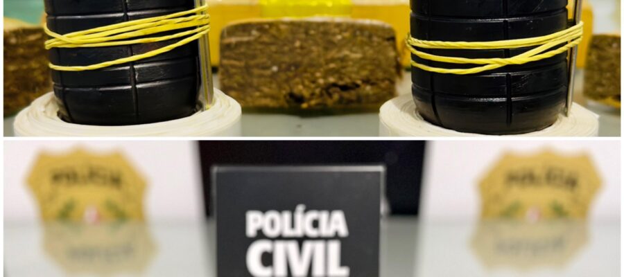 Polícia Civil