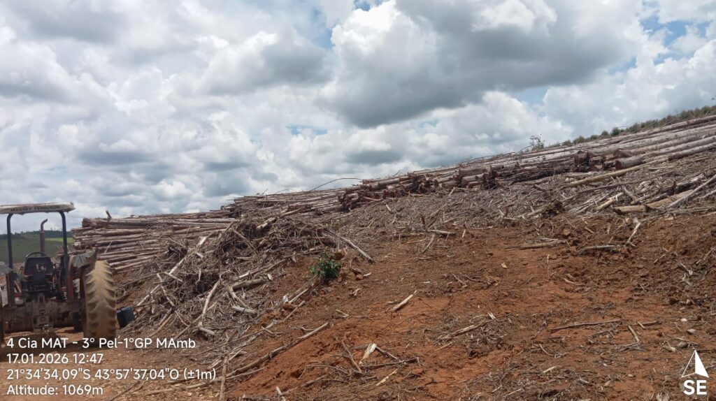 Na data de hoje (17/01/2026), em Santa Rita do Ibitipoca, foi constatado pela Polícia Militar de Meio Ambiente transporte de material lenhoso da espécie exótica eucaliptos sp.