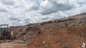 Sintese-das-ocorrencias-policiais-Meio-Ambiente-17-01-2026