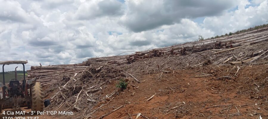 Sintese-das-ocorrencias-policiais-Meio-Ambiente-17-01-2026