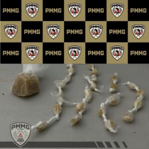 Síntese das Ocorrências Policiais 02/03/2026
