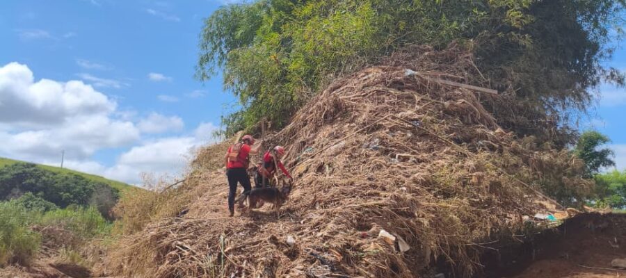 SÍNTESE DAS PRINCIPAIS OCORRÊNCIAS Corpo de Bombeiros Militar de Minas Gerais Data 04/03/2026