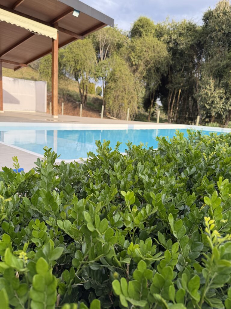 Frio e Turismo: Uma Combinação Perfeita